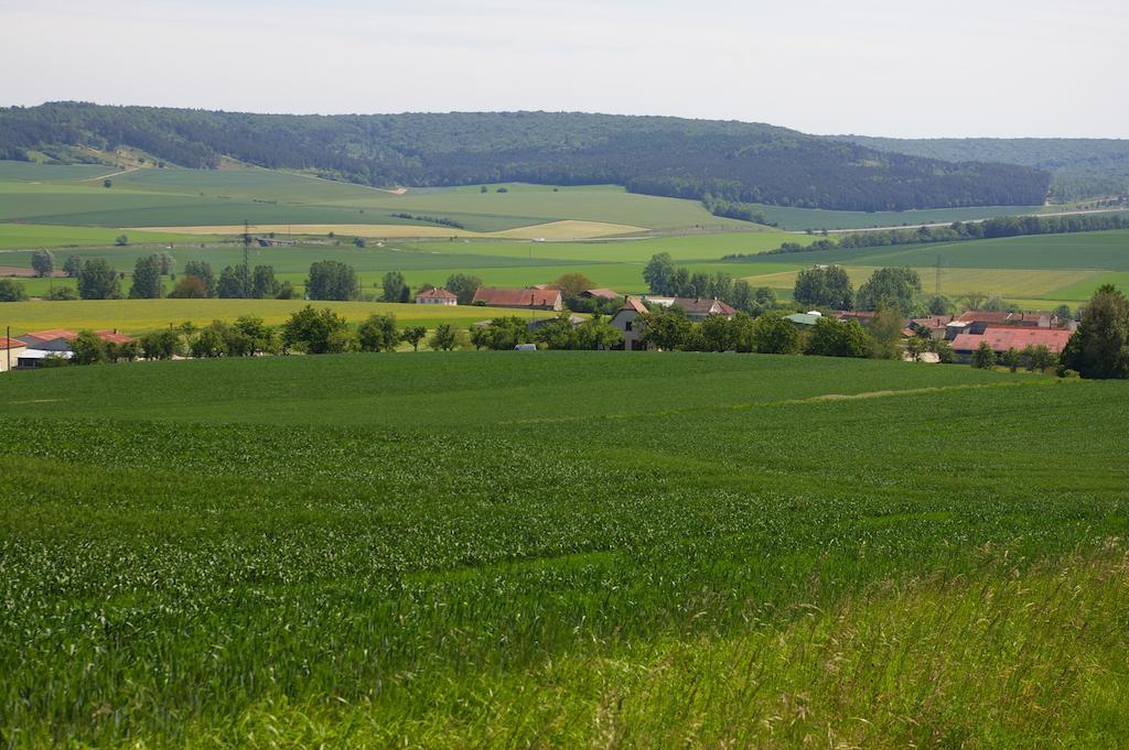 Gite Au Chalet Laferté-sur-Aube Szoba fotó